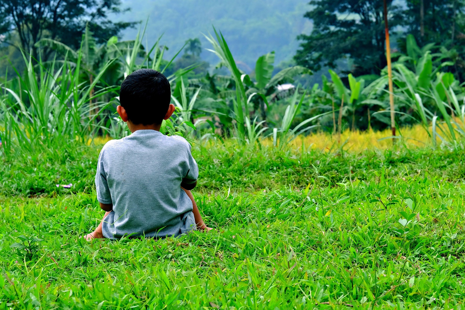 Tìm Hiểu Chi Tiết Về Đất Nông Nghiệp