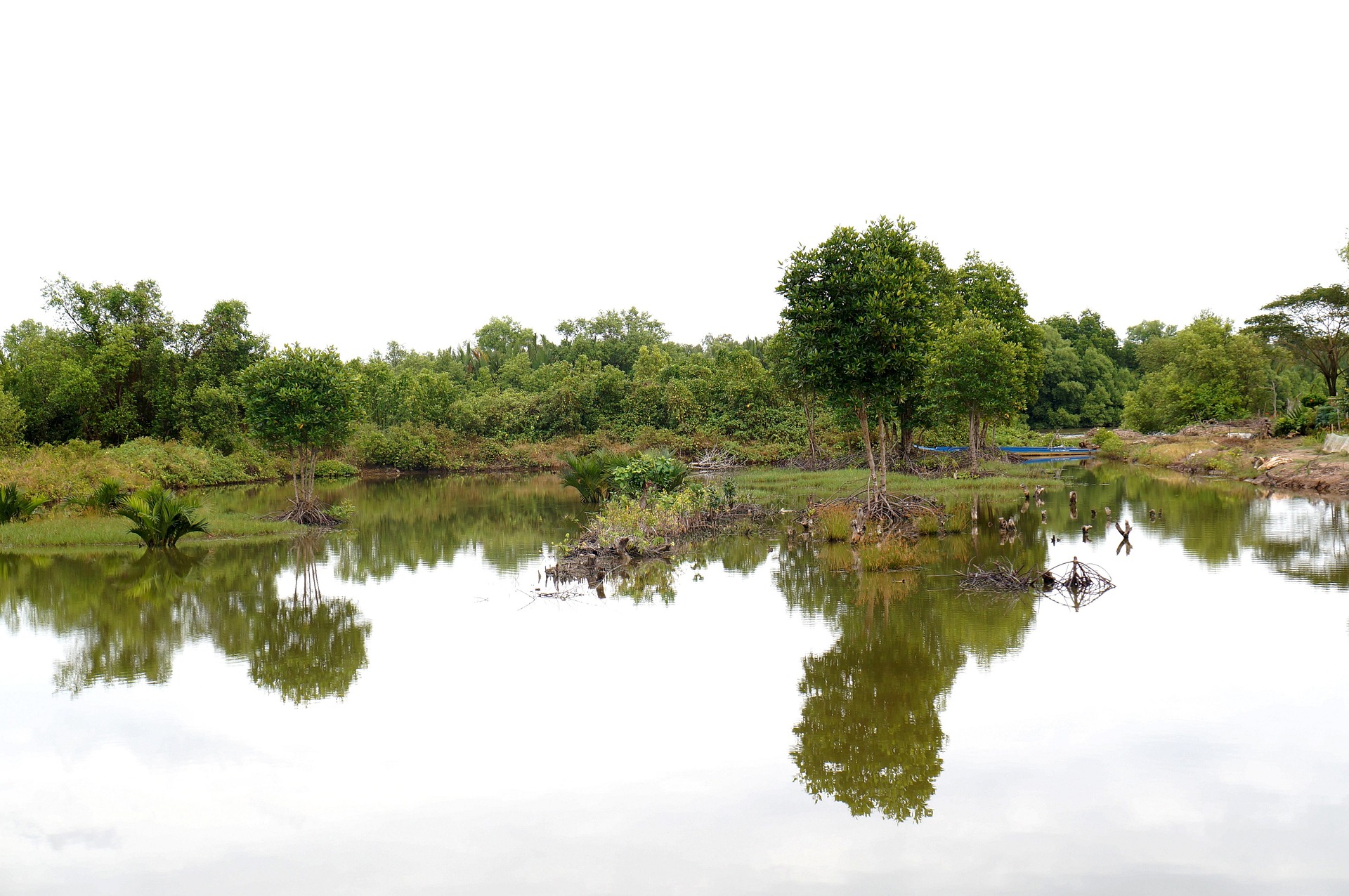 Tìm Hiểu Chi Tiết Về Đất Nông Nghiệp